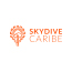 Skydive Caribe • Warrior Estudio Creativo