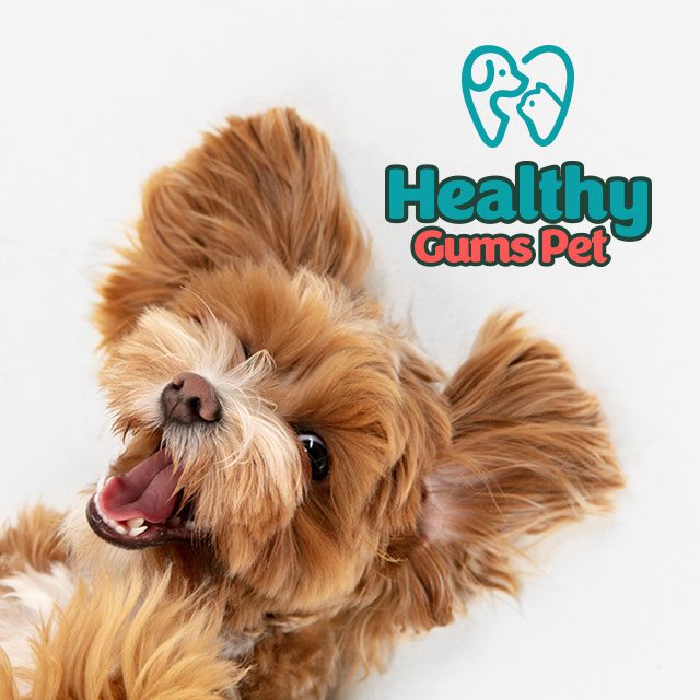 Agencia creativa en Colombia – Servicios de Warrior Estudio Creativo